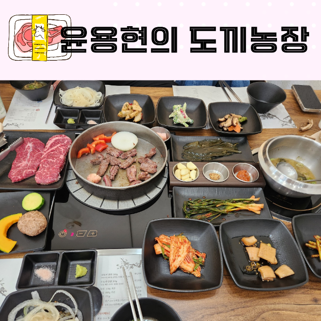 윤용현의도끼농장 이미지