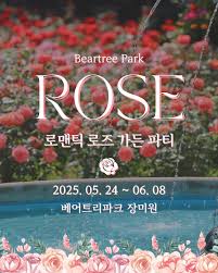 로맨틱파크 이미지