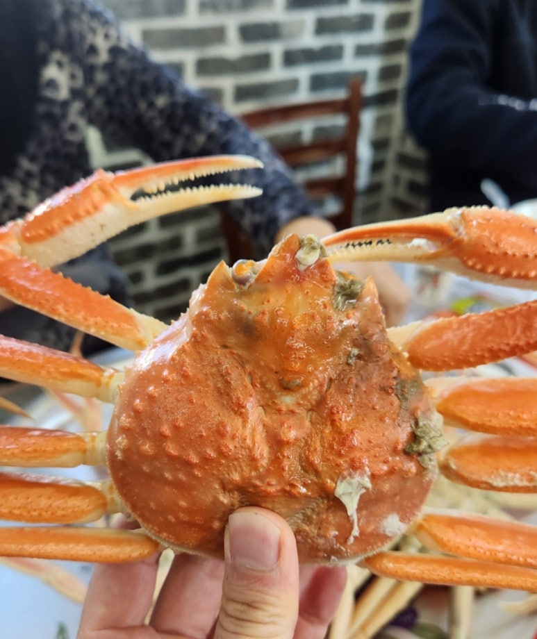 순양호영덕대게직판장 이미지
