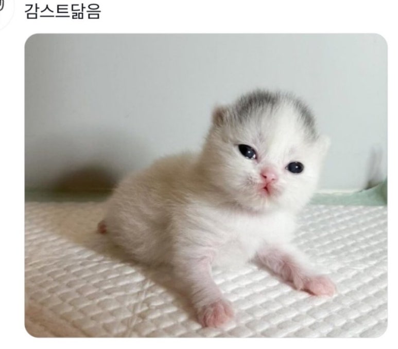 씨티플랜 이미지