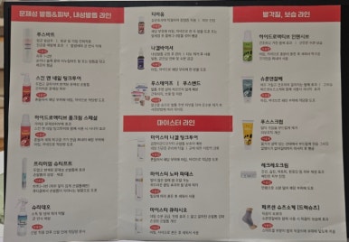 레푸스전주 이미지