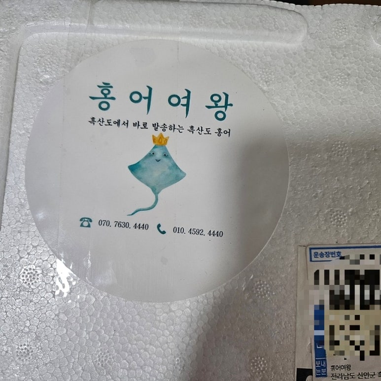 홍어여왕 이미지