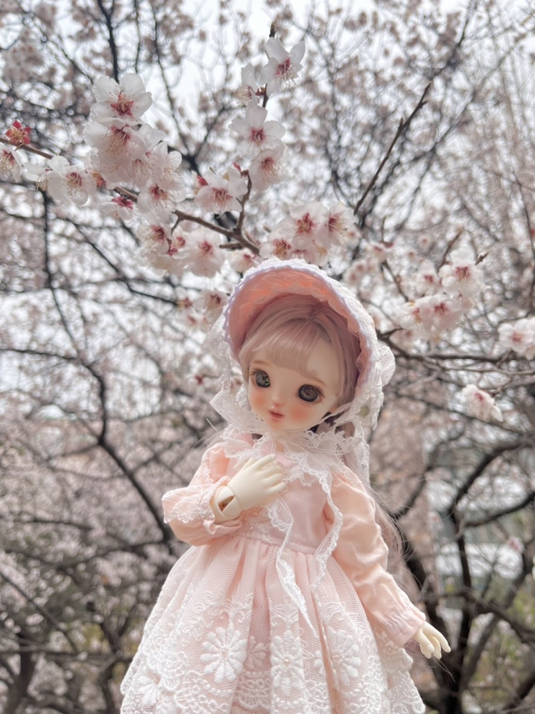 세나세라 이미지
