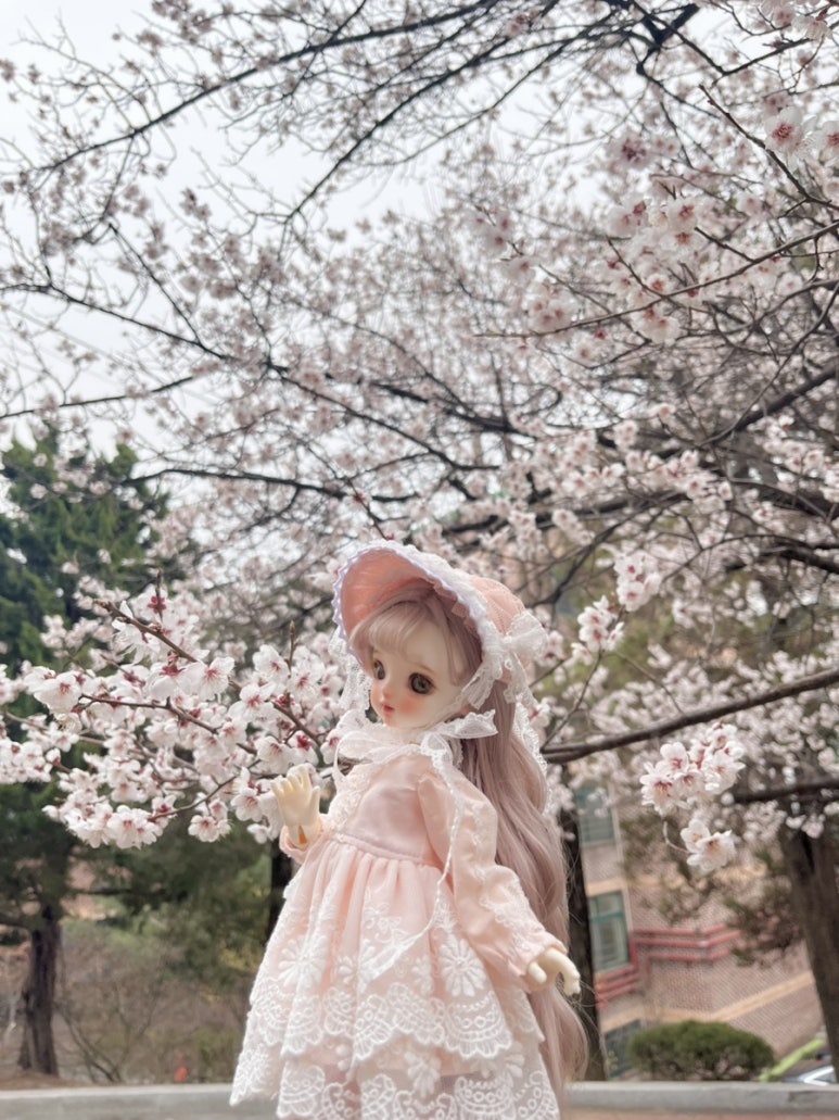 세나세라 이미지