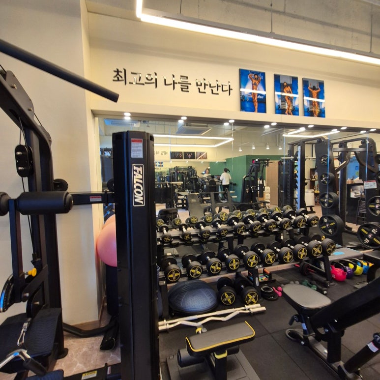 탑바디핏 이미지
