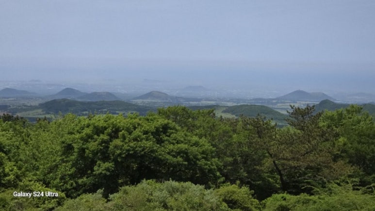 보림농원 이미지