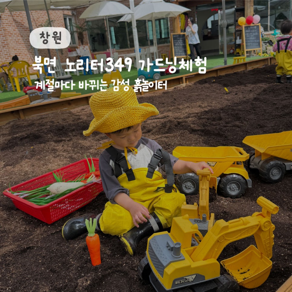 노리터349 이미지