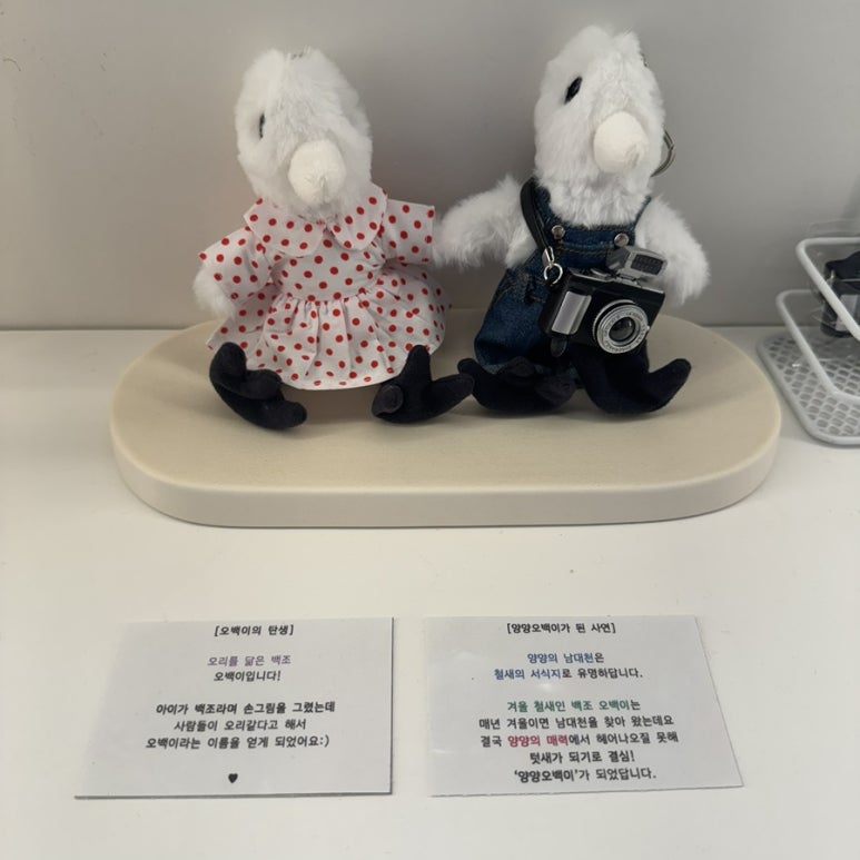 오백샵 이미지
