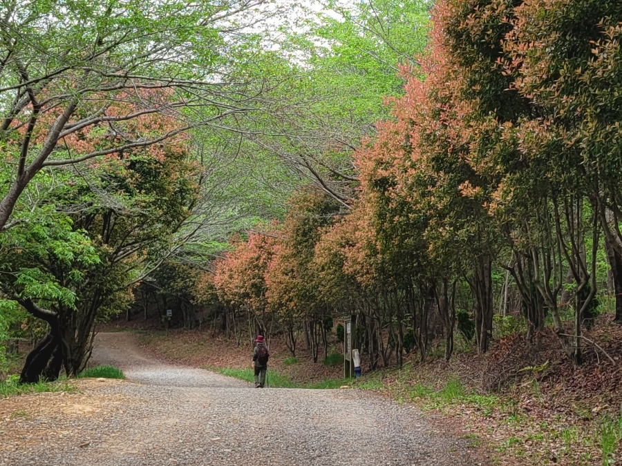 삼거리석유 이미지