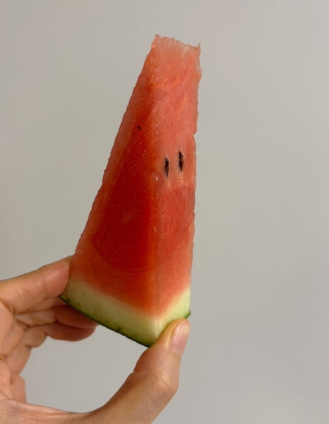 법인다정 이미지