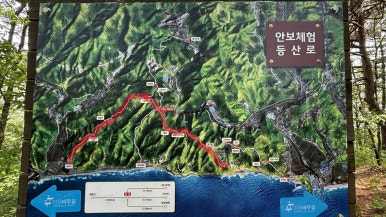 안인진임해자연휴양림 이미지
