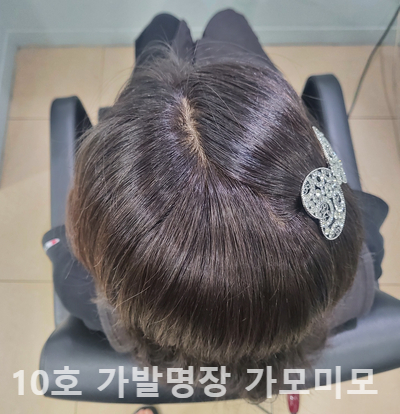 가모미모 이미지