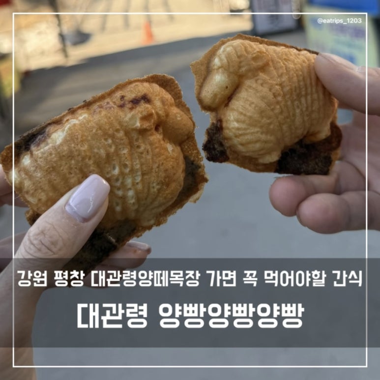 대관령양빵양빵양빵 이미지