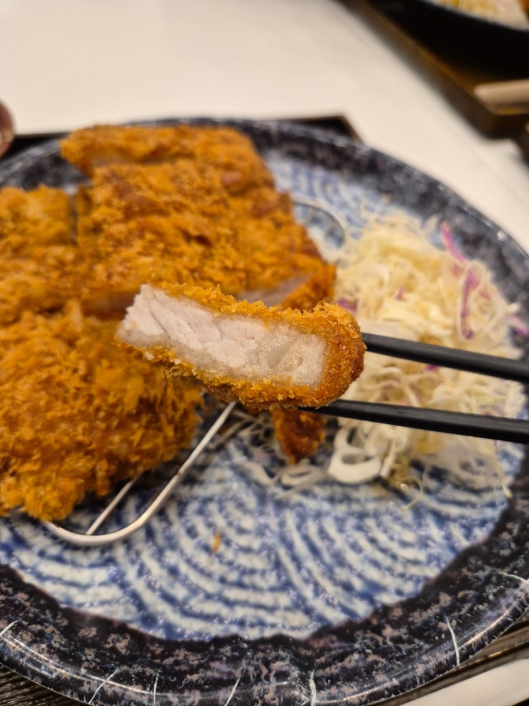 꼬숑 이미지