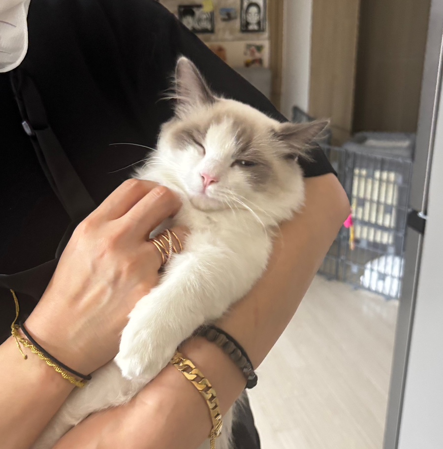 네일끌리다사상점 이미지