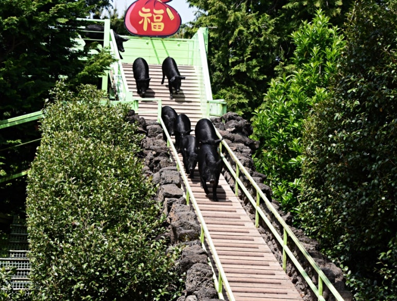 돼지야놀자 이미지