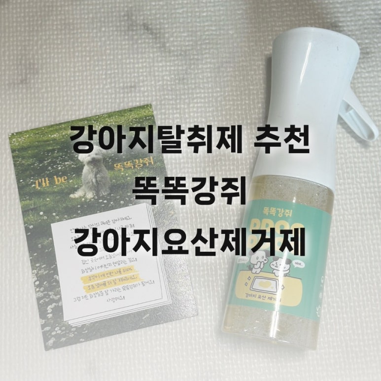 똑똑강쥐 이미지