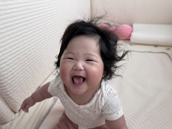 재이팔 이미지