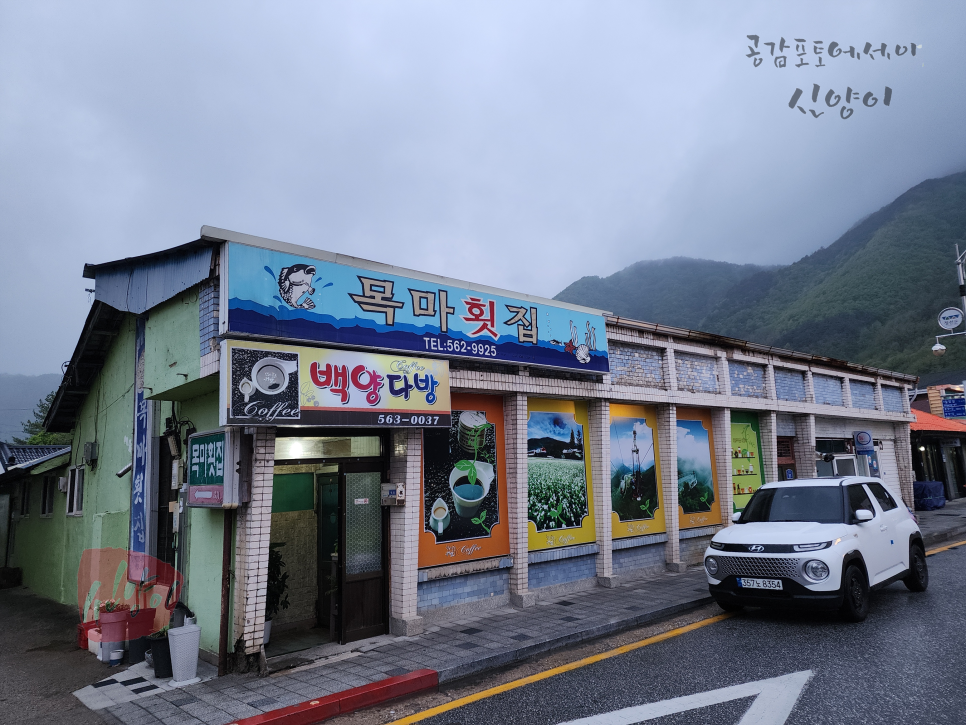 백양다방 이미지