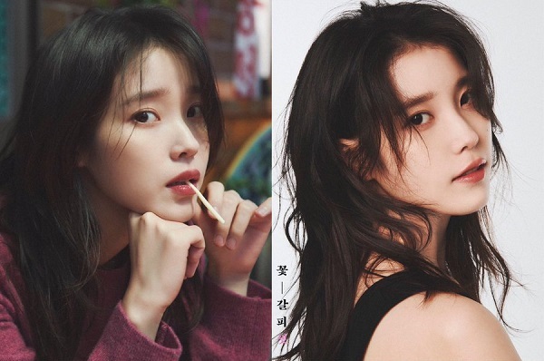 꽃갈피 이미지