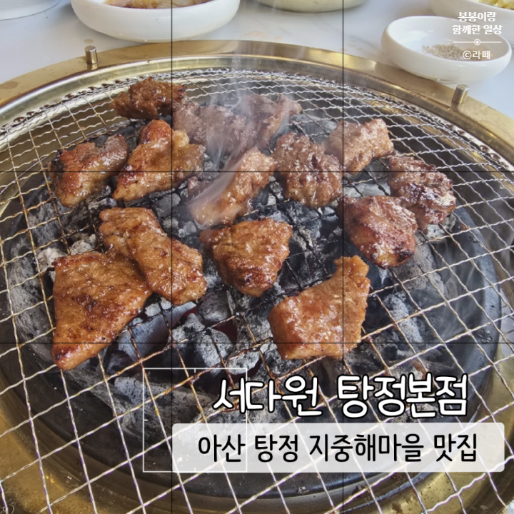 서다원 탕정본점 이미지