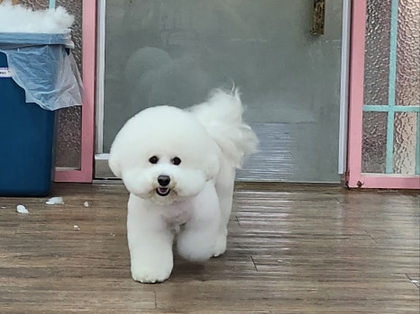 느는디자인 이미지
