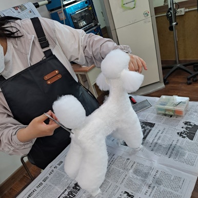 인천강사교육원 이미지