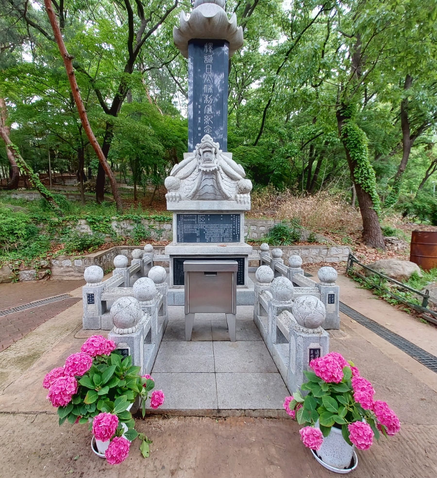 영화사 몸 이미지