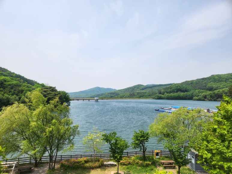 양주도니 이미지