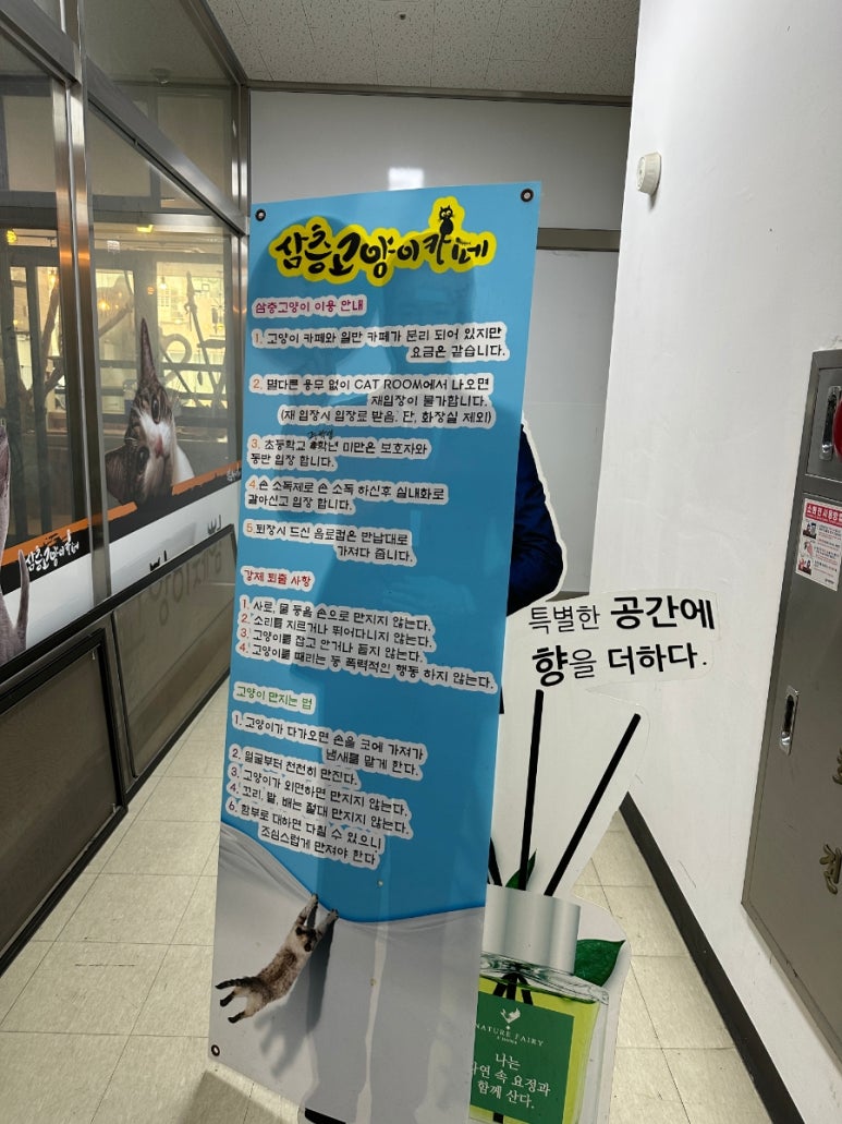 삼층고양이 이미지