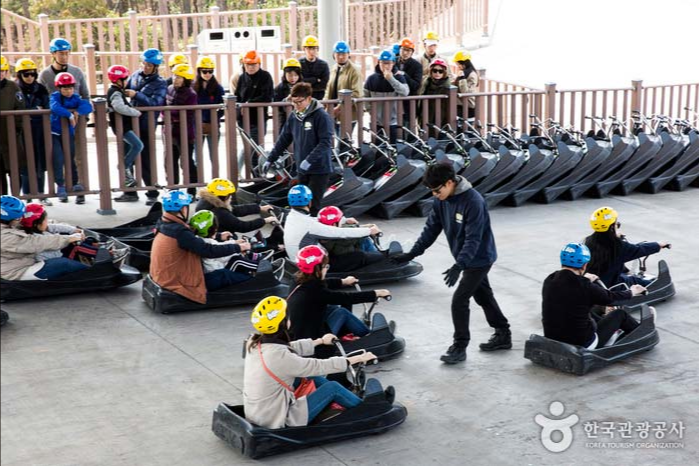스카이라인투어 이미지