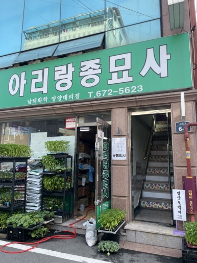 오백샵 이미지