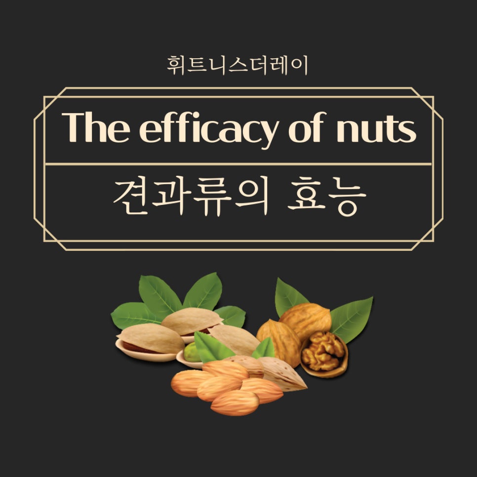 휘트니스더레이 이미지
