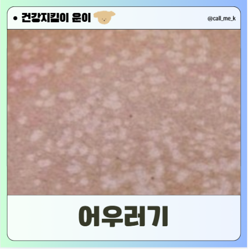 어우러기 이미지