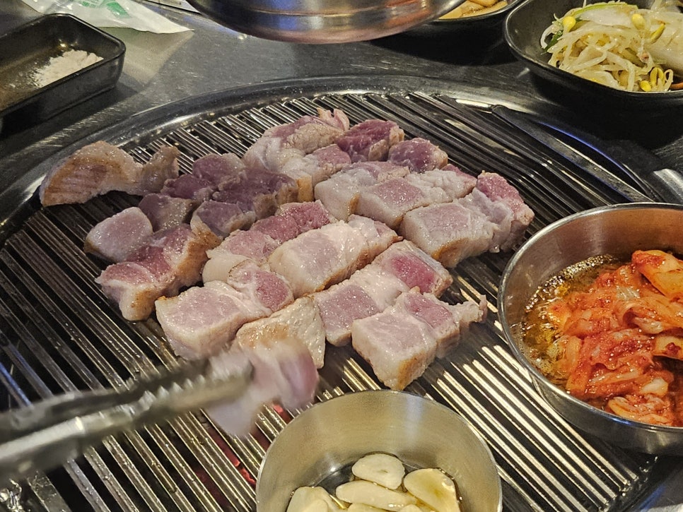 인생돼지 이미지
