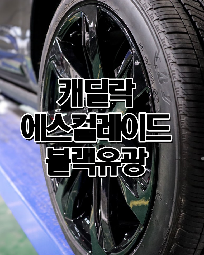 바른휠 이미지