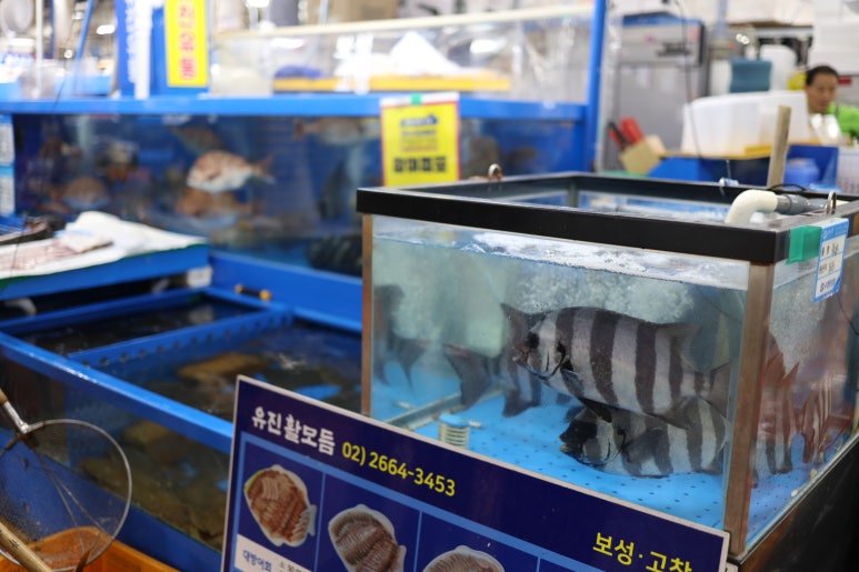 어촌식당 이미지