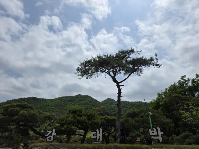 이원주유소 이미지