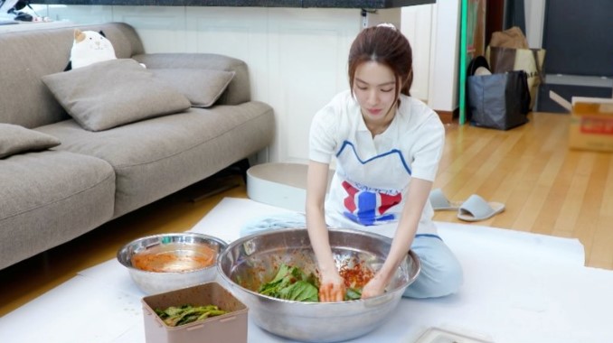 이고스디자인 이미지