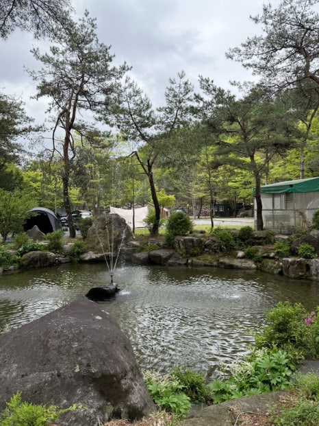드래곤오토캠핑장 이미지