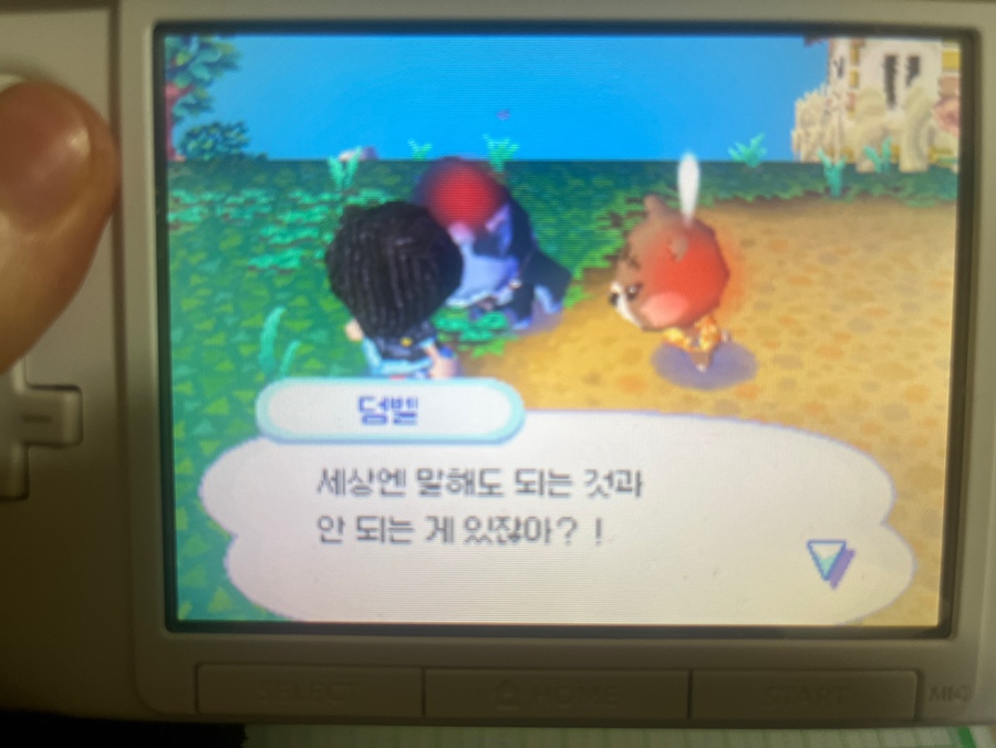 창고릴라 이미지