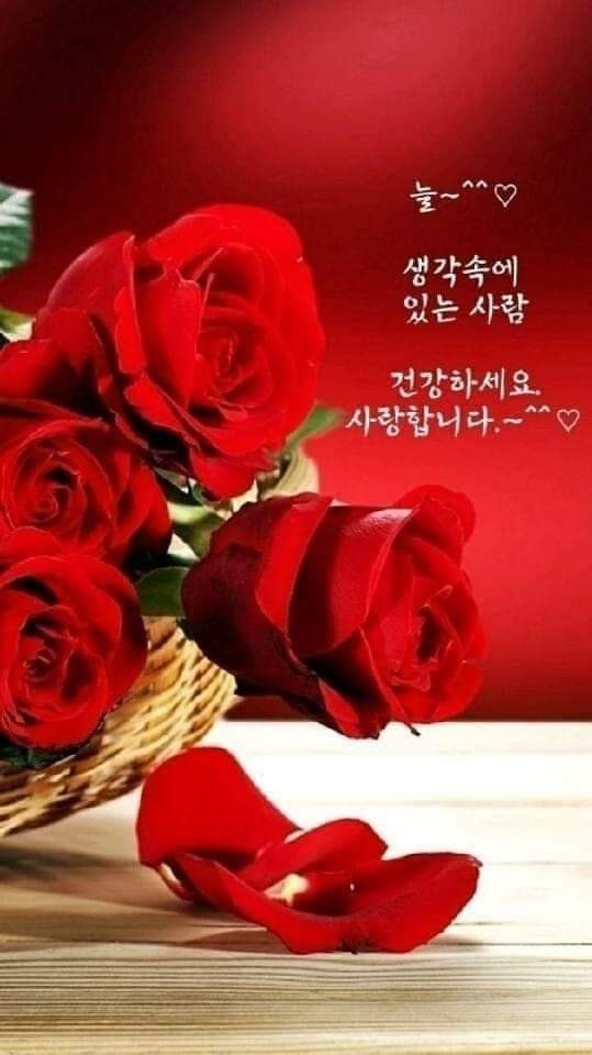 (주)행복한아침 이미지