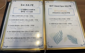 크린브레인 이미지