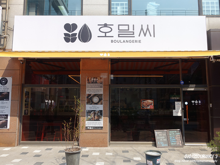 호밀씨 이미지