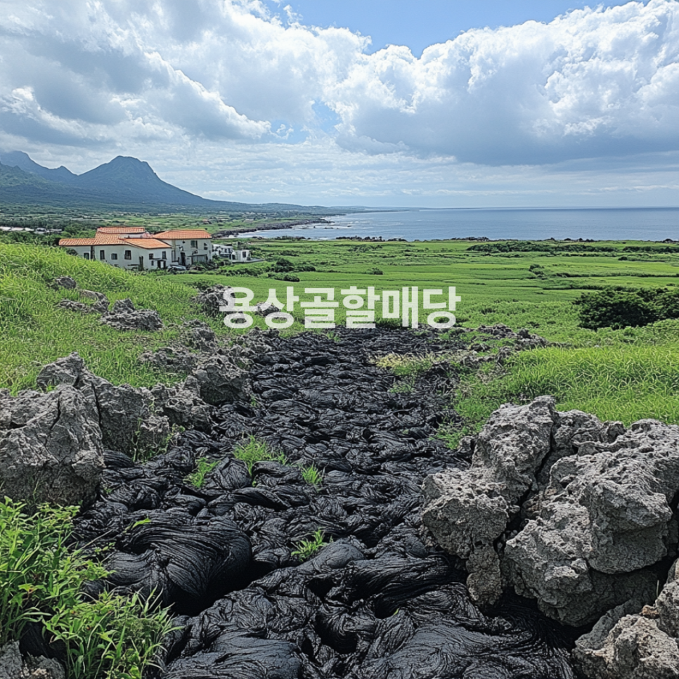 지문사주 이미지