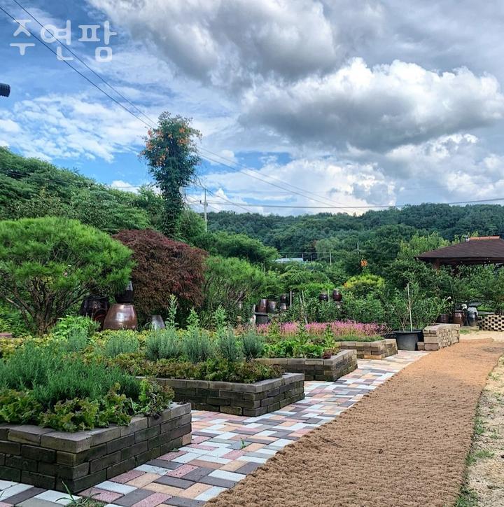 주연팜 이미지