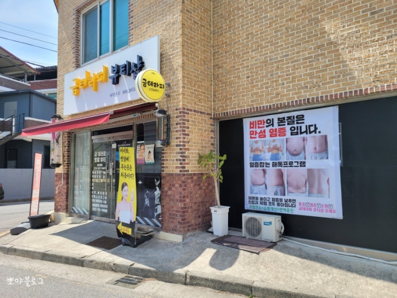 금샵 이미지