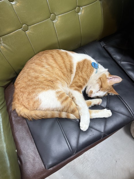 Cafe구산블루스 이미지