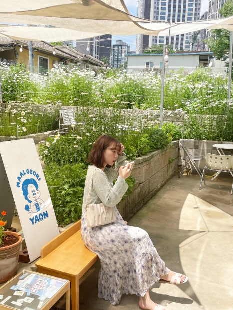 야온 이미지