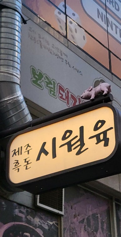 시월육 이미지